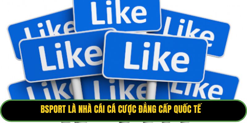 Bsport là nhà cái cá cược đẳng cấp quốc tế