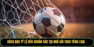 Cách Đọc Tỷ Lệ Kèo