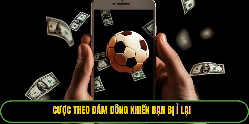 Cược theo đám đông khiến bạn bị ỉ lại