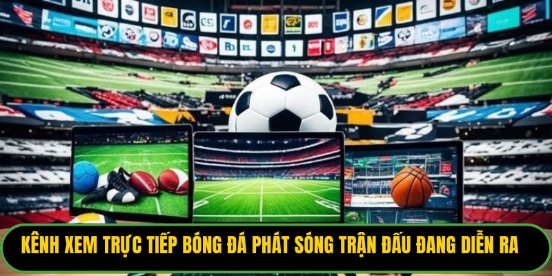 Kênh xem trực tiếp bóng đá phát sóng trận đấu đang diễn ra