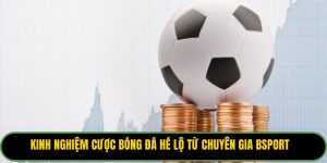 Kinh Nghiệm Cược Bóng Đá