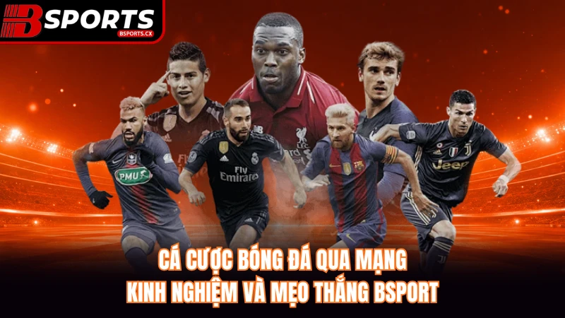 Cá Cược Bóng Đá Qua Mạng