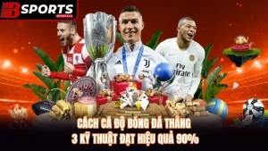 Cách Cá Độ Bóng Đá Thắng