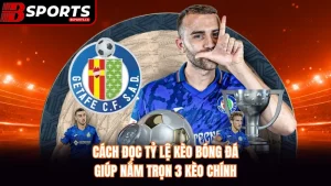 Cách Đọc Tỷ Lệ Kèo Bóng Đá