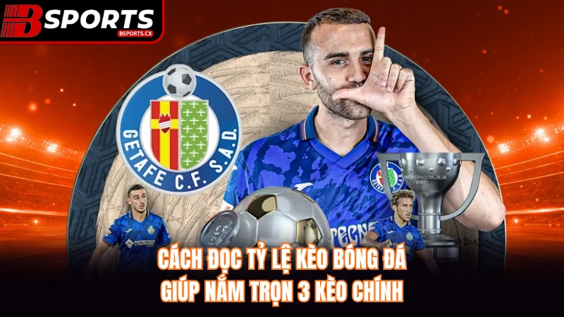 Cách Đọc Tỷ Lệ Kèo Bóng Đá